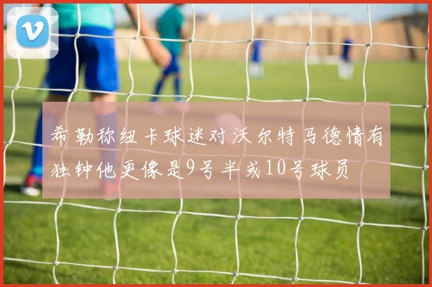 希勒称纽卡球迷对沃尔特马德情有独钟他更像是9号半或10号球员