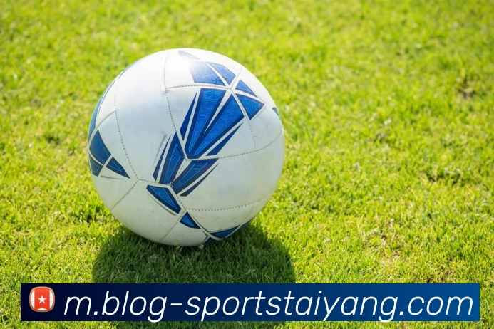 太阳城发展历程